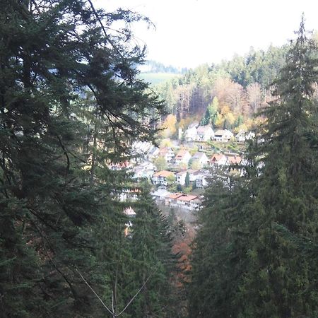 Relaxapartments Black Forest Diamond Direkt An Der Hornberger Freilichtbuehne - Sonnenterrasse Mit Blick Auf Das Hornberger Schloss, Schnelles Internet, Fuer Bis Zu 2 Personen Eksteriør billede