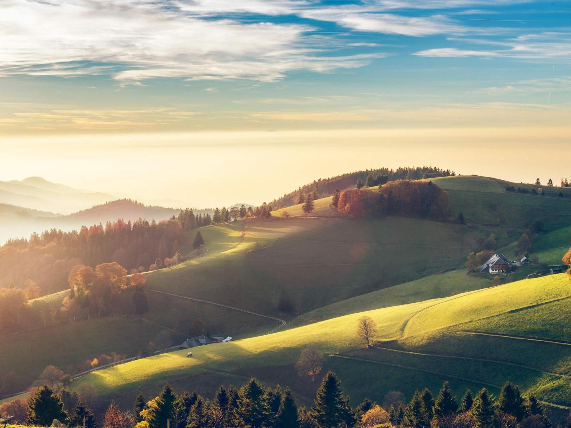 Relaxapartments Black Forest Diamond Direkt An Der Hornberger Freilichtbuehne - Sonnenterrasse Mit Blick Auf Das Hornberger Schloss, Schnelles Internet, Fuer Bis Zu 2 Personen Eksteriør billede