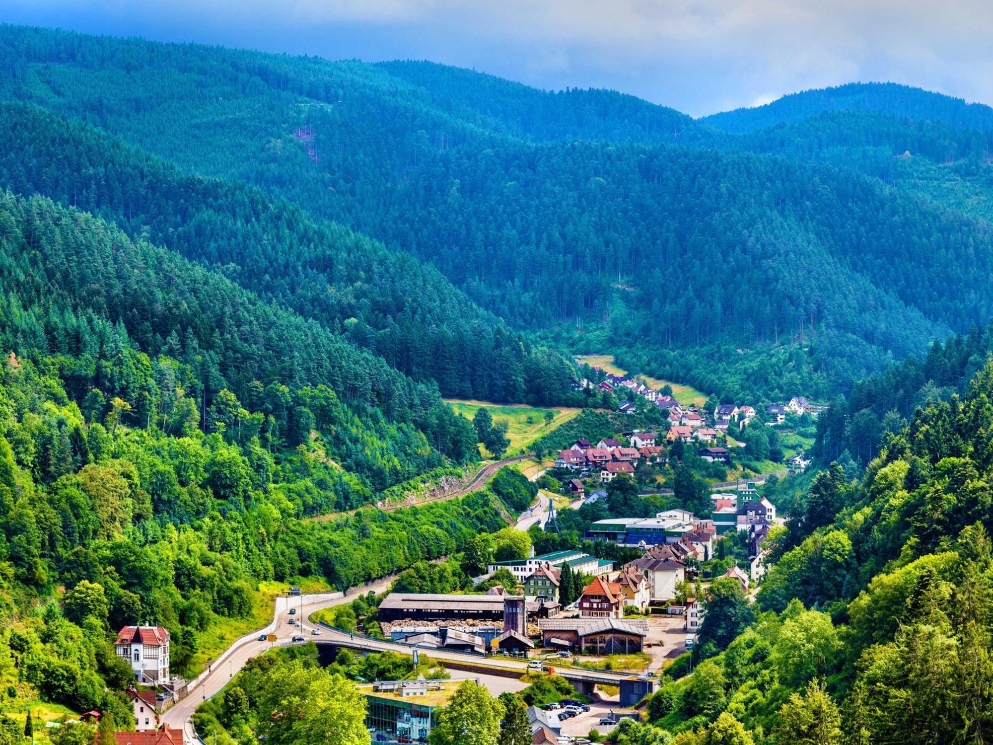 Relaxapartments Black Forest Diamond Direkt An Der Hornberger Freilichtbuehne - Sonnenterrasse Mit Blick Auf Das Hornberger Schloss, Schnelles Internet, Fuer Bis Zu 2 Personen Eksteriør billede