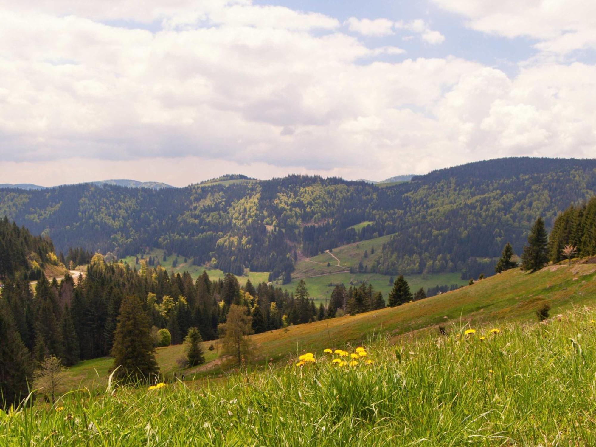 Relaxapartments Black Forest Diamond Direkt An Der Hornberger Freilichtbuehne - Sonnenterrasse Mit Blick Auf Das Hornberger Schloss, Schnelles Internet, Fuer Bis Zu 2 Personen Eksteriør billede